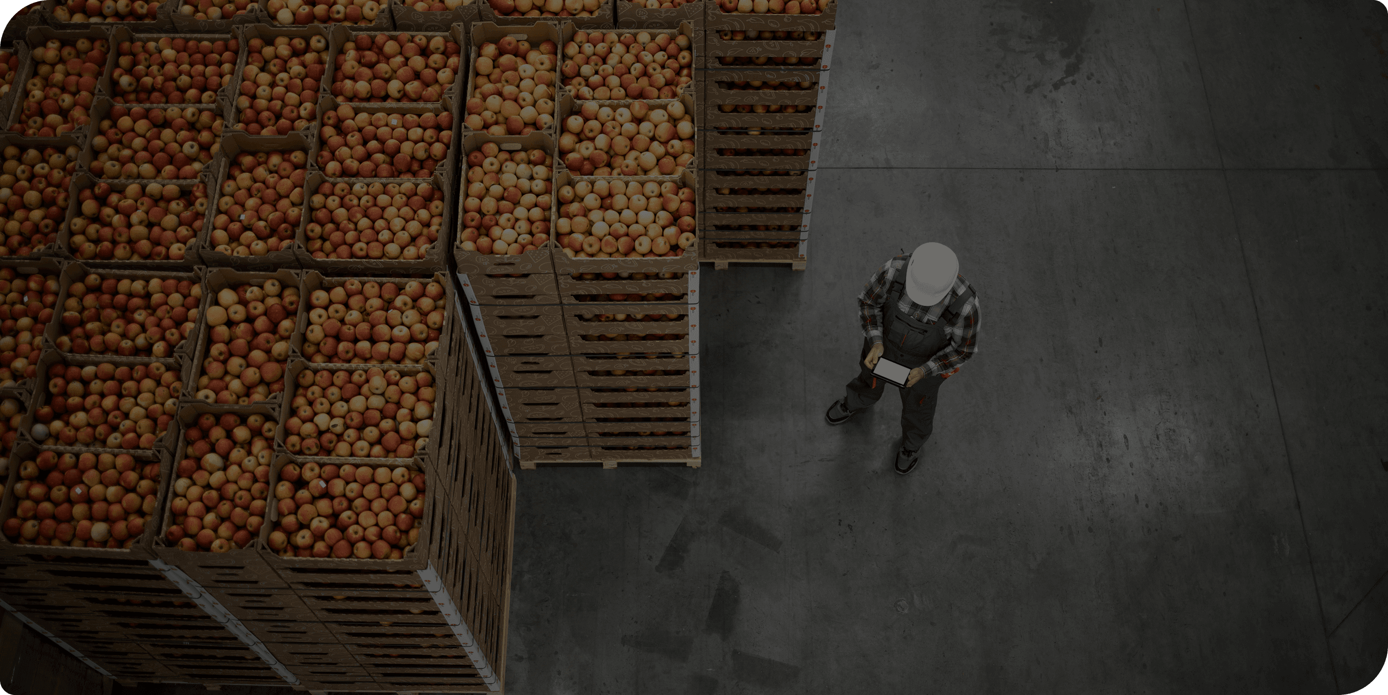 Kunkel warehouse and logistics